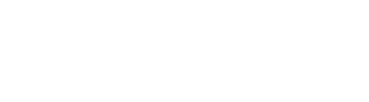 International Collegiate Angels Network